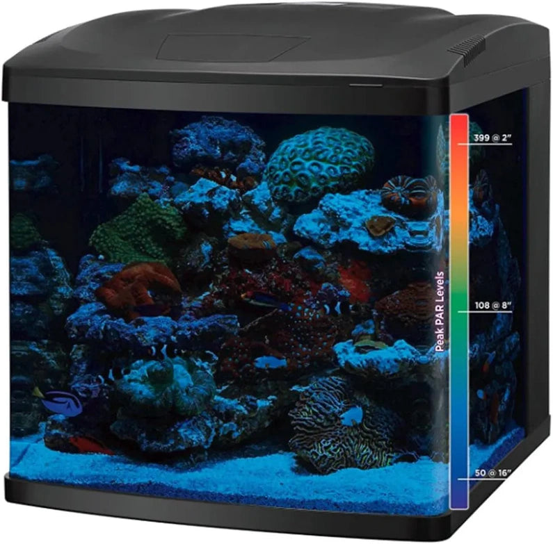 LED Tanks and Combo Kits (32 Gallon Tank/Stand Kit)