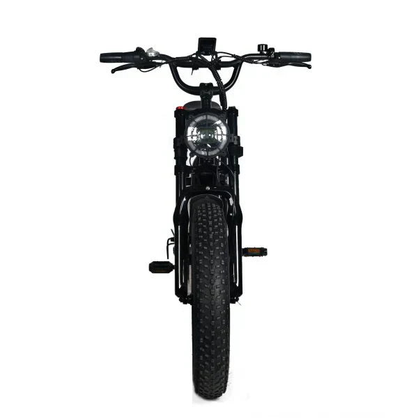 Electric Mountain Bike for Adults | 20 x 4.0 Fat Tires, 1000W Motor, 48V 20Ah Removable Battery, Max Speed 45MPH, Shi Mano 7-Speed for Off-Road Adventures