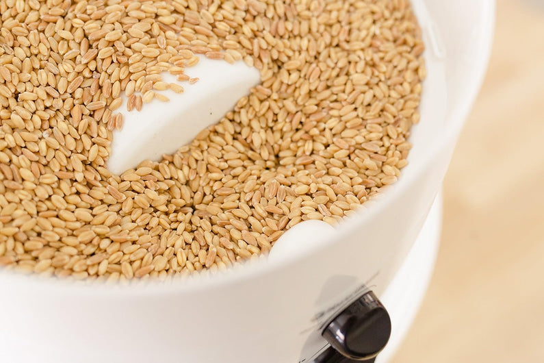 Classic high-speed electric grain grinder, a wheat flour grinder used for making fresh flour, equipped with a stainless steel grinding head